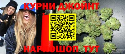 стаф Краснодар
