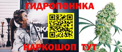 стаф Краснодар
