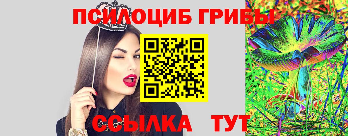 Псилоцибиновые грибы Cubensis  Вход с VPN  Ижевск 
